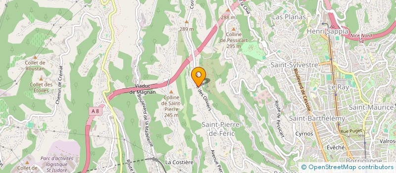localisation de l'entreprise COU COUMITAT - COMITE DES FETES DE ST PIERRE DE FERIC à NICE