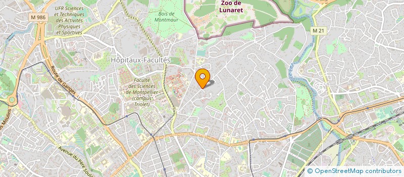 localisation de l'entreprise COULEUR CHAUX à MONTPELLIER