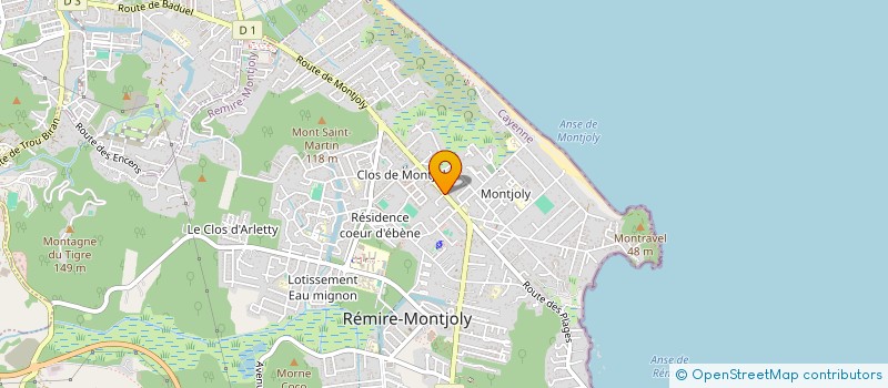 localisation de l'entreprise COULEUR DE VIE à REMIRE-MONTJOLY