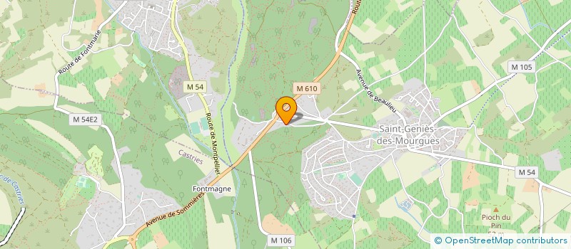 localisation de l'entreprise COULEUR DU PATRIMOINE à SAINT-GENIES-DES-MOURGUES