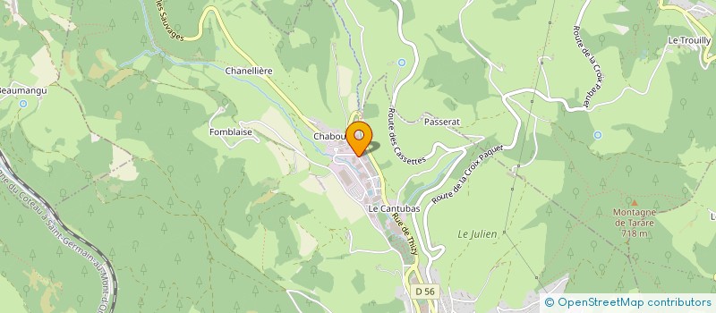 localisation de l'entreprise COULEURS DES PEINTURES DU RHONE - CPR  TARARE