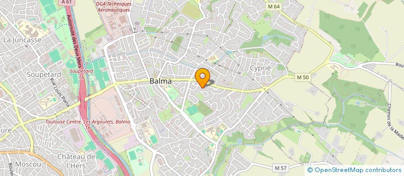 localisation de l'entreprise COUP DE PATTE à BALMA