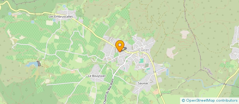 localisation de l'entreprise COUR DES AMOURIES à SAINT-MATHIEU-DE-TREVIERS