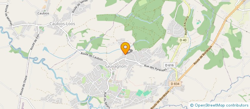 localisation de l'entreprise COURS A SAUVAGNON - CAS 64 à SAUVAGNON