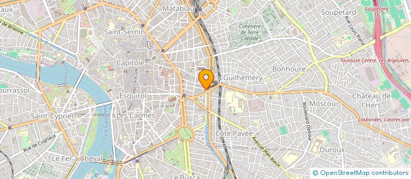 localisation de l'entreprise COURS NICHOLAS  TOULOUSE