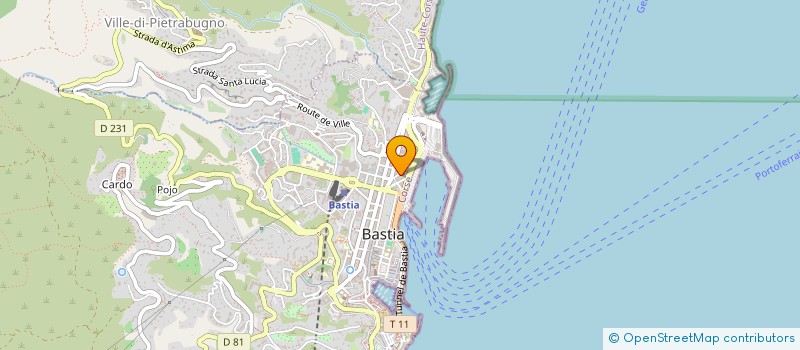 localisation de l'entreprise COURS TOUJOURS à BASTIA