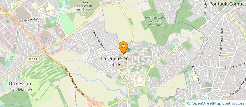 localisation de l'entreprise COURSIERS PLUS  LA QUEUE-EN-BRIE