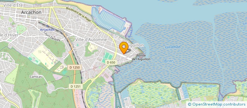 localisation de l'entreprise COUSIN INVESTISSEMENT  ARCACHON