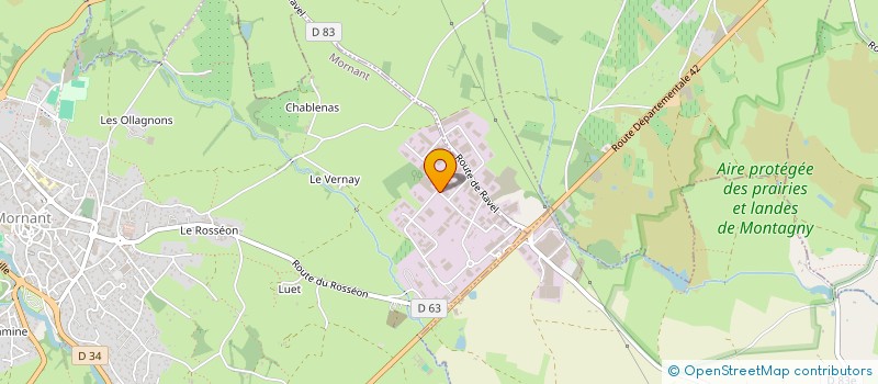 localisation de l'entreprise COWORKING TECHNOLOGIQUE  MORNANT