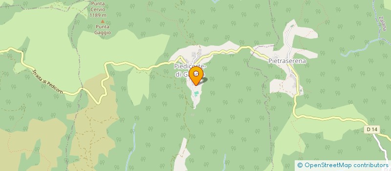 localisation de l'entreprise CP CARTES GRISES SERVICES  PIEDICORTE-DI-GAGGIO