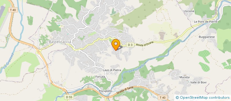 localisation de l'entreprise CP2A NETTOYAGE à BASTELICACCIA