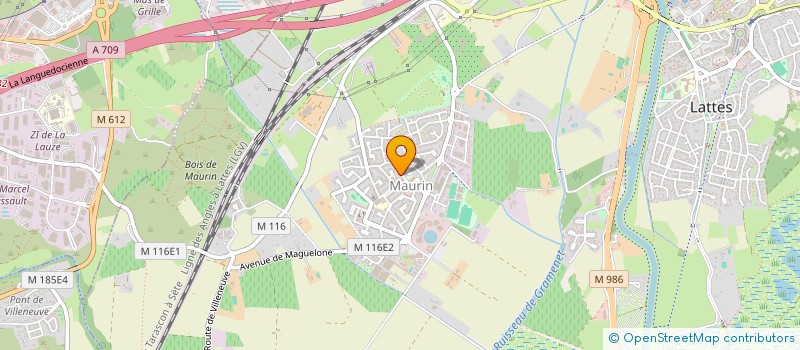 localisation de l'entreprise CPS SPORT  LATTES