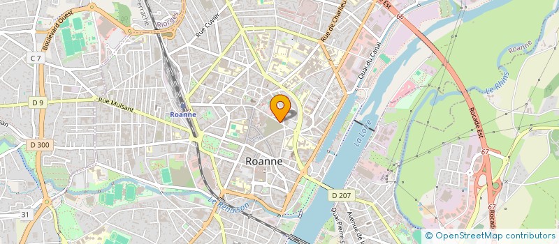 localisation de l'entreprise CPTS DEFI SANTE ROANNAIS BRIONNAIS  ROANNE