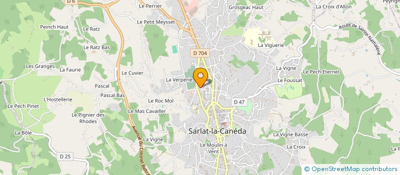 localisation de l'entreprise CPTS DORDOGNE VALLEES VEZERE à SARLAT-LA-CANEDA