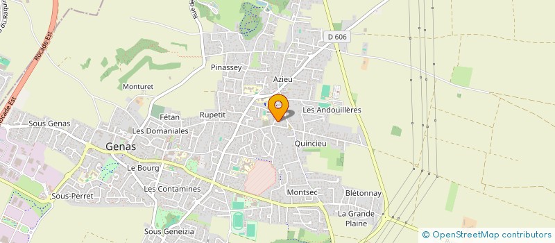 localisation de l'entreprise CRAPAHUTE RANDOLYON à GENAS