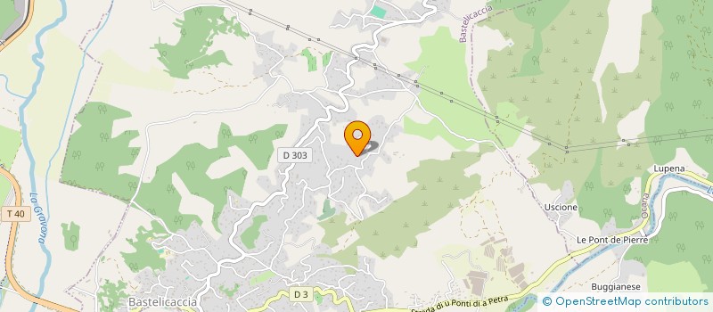 localisation de l'entreprise CRISLINE  BASTELICACCIA