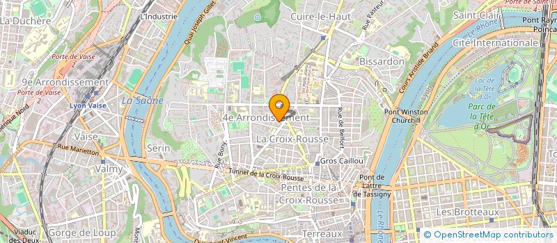 localisation de l'entreprise CRO LYON BOULES à LYON