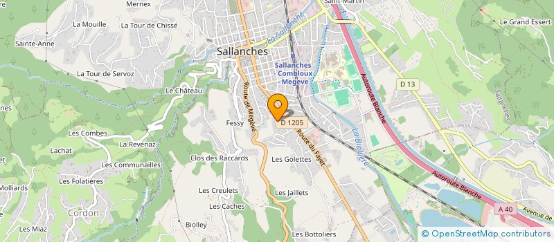 localisation de l'entreprise CROCUS VERT à SALLANCHES