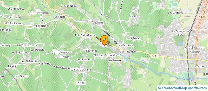 localisation de l'entreprise CRTP.CARRIERES RECYCLAGE TRAVAUX PUBLICS  CHANES