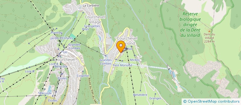 localisation de l'entreprise CS FLORE à COURCHEVEL