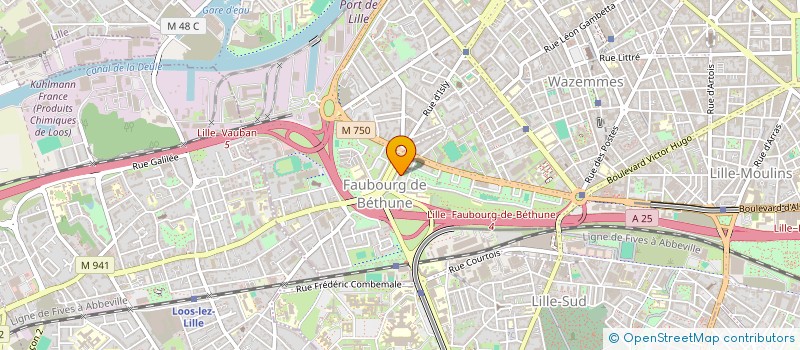 localisation de l'entreprise CS PEINTURES à LILLE