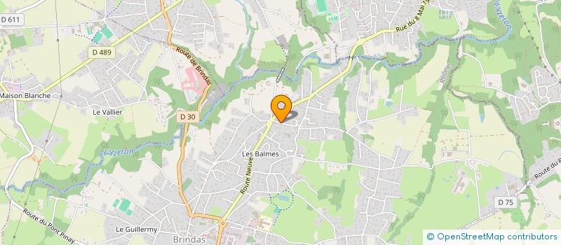 localisation de l'entreprise CSRI CONSEIL SUPPORT REALISAT INFORMAT à BRINDAS