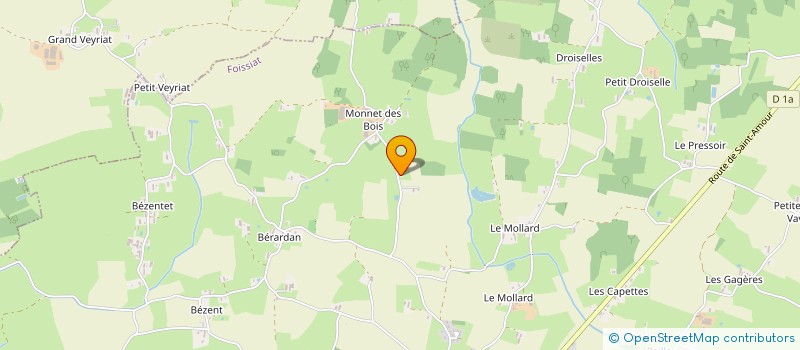 localisation de l'entreprise CSTN TRANSPORTS  FOISSIAT