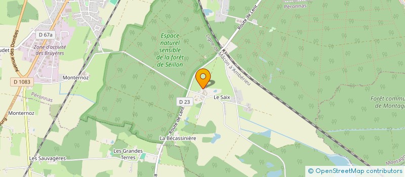 localisation de l'entreprise CTE DEP DU SPORT ADAPTE DE L AIN à PERONNAS