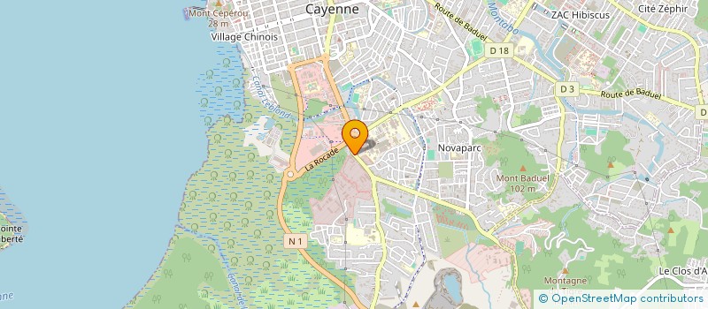 localisation de l'entreprise CTE OEUVRES SOC SYND MIXTE TRANSP COSSYT  CAYENNE