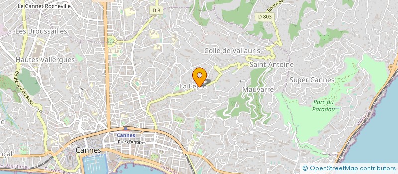 localisation de l'entreprise CTIM GRAND BOIS à CANNES