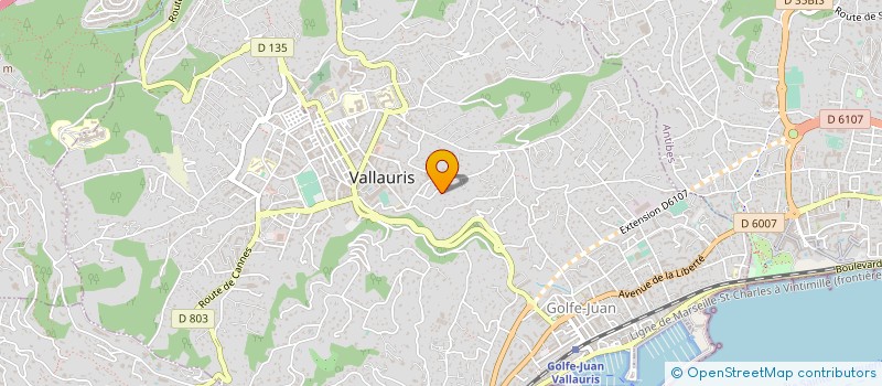 localisation de l'entreprise CTIM HORIZON  VALLAURIS