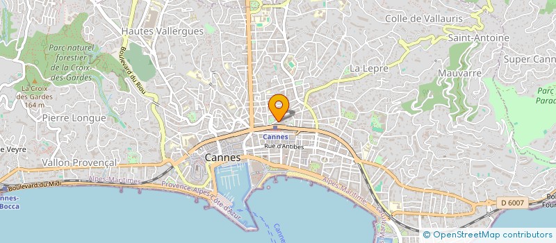 localisation de l'entreprise CTIM LE MIMONT  CANNES