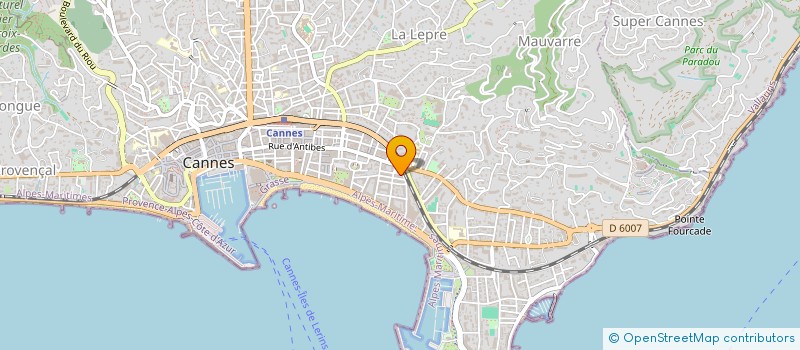 localisation de l'entreprise CTIM LE NORMANDY  CANNES