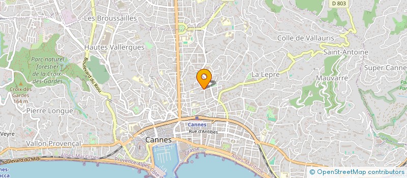 localisation de l'entreprise CTIM LE PALAIS DES CHATS  CANNES