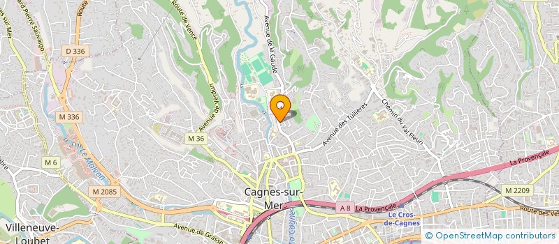 localisation de l'entreprise CTIM LE PARADIS à CAGNES-SUR-MER