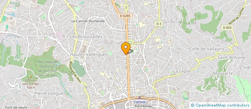 localisation de l'entreprise CTIM LE PETIT PRINTEMPS  CANNES