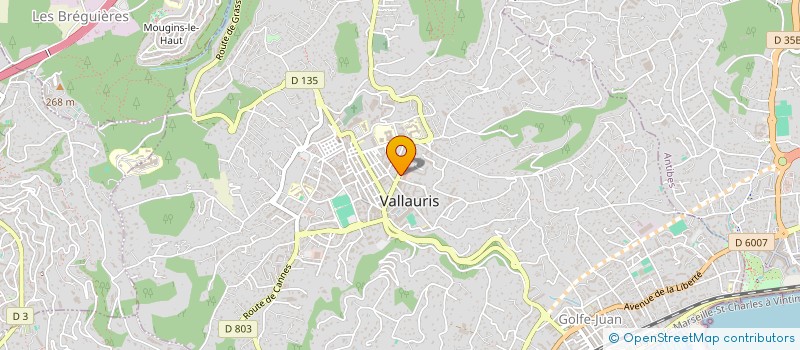 localisation de l'entreprise CTIM LE SAINT ROCH  VALLAURIS