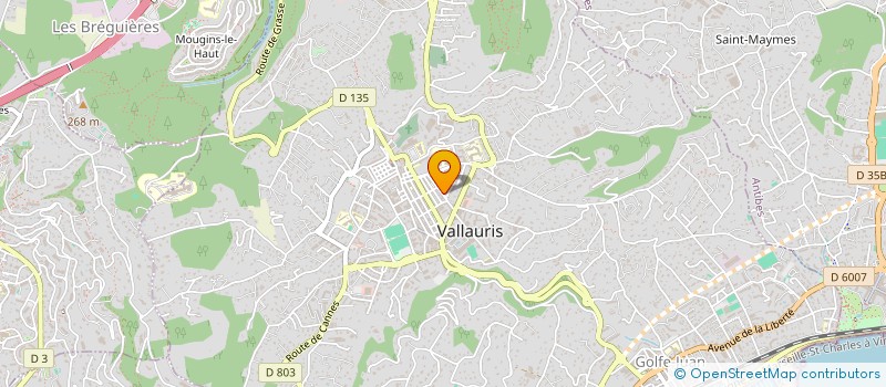 localisation de l'entreprise CTIM LE SOLIFLORE  VALLAURIS