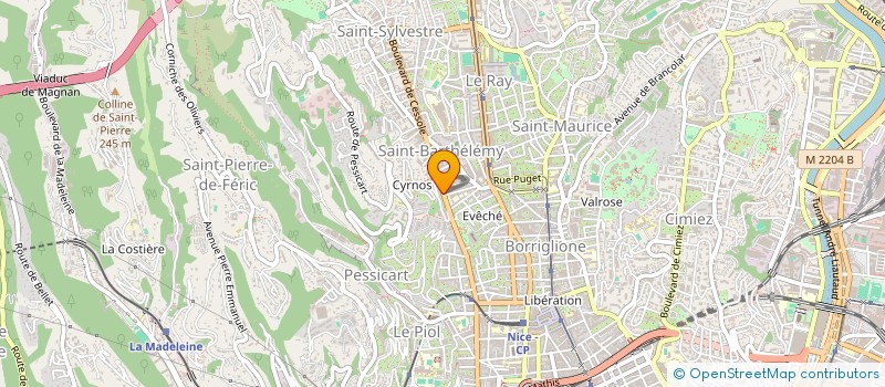 localisation de l'entreprise CTIM LE VERONIQUE à NICE