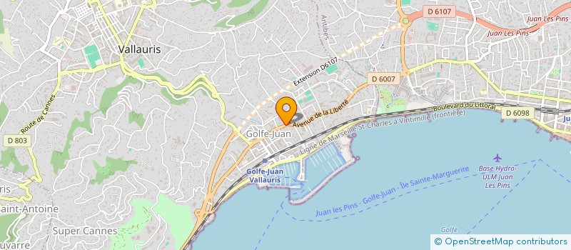 localisation de l'entreprise CTIM LES AMARYLLIS  VALLAURIS