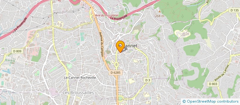 localisation de l'entreprise CTIM LES PALMIERS à LE CANNET