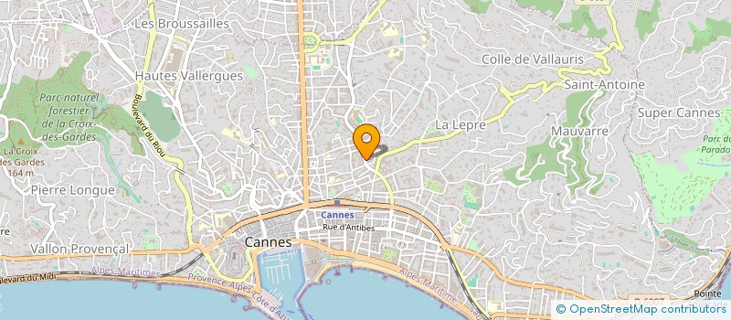 localisation de l'entreprise CTIM PALAIS GOUNOD  CANNES