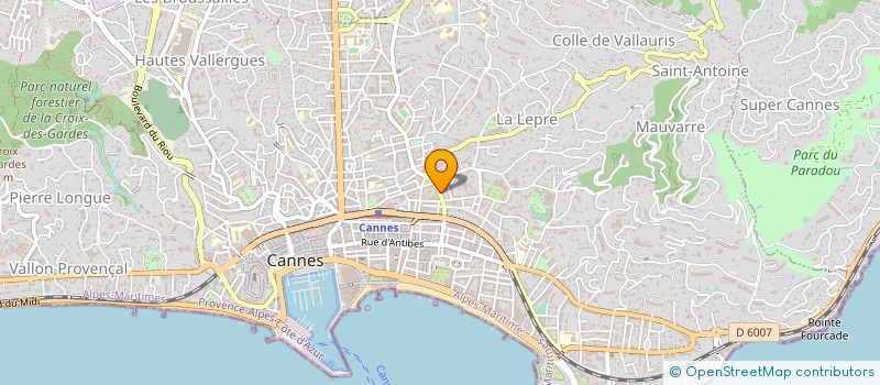 localisation de l'entreprise CTIM VILLA FRANCE VILLA à CANNES