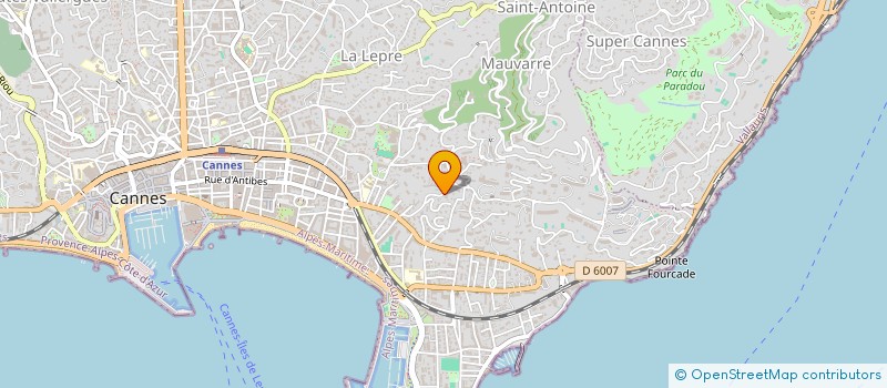 localisation de l'entreprise CTIM VILLA KELIA  CANNES