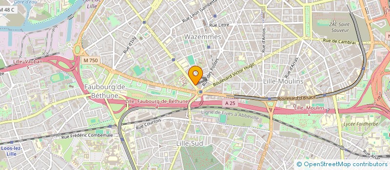 localisation de l'entreprise CTLM  LILLE
