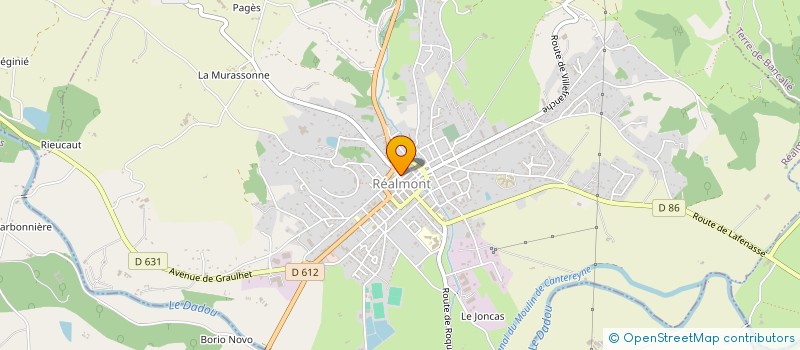 localisation de l'entreprise CTRE COM ACTION SOCIALE DE REALMONT à REALMONT