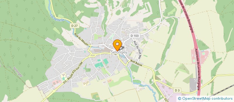 localisation de l'entreprise CTRE COM ACTION SOCIALE DE SELONGEY  SELONGEY