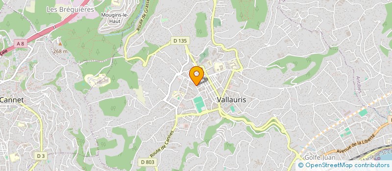 localisation de l'entreprise CTRE COM ACTION SOCIALE DE VALLAURIS à VALLAURIS