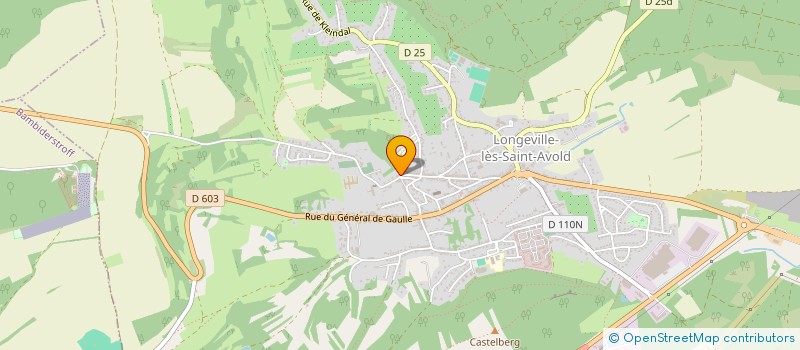localisation de l'entreprise CTRE COM ACTION SOCIALE LONGEVILLE ST AV à LONGEVILLE-LES-SAINT-AVOLD
