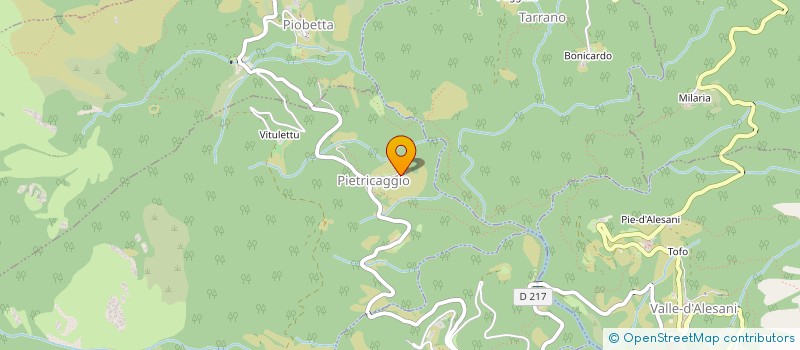 localisation de l'entreprise CTRE COM ACTION SOCIALE VALLE D'ALESANI à VALLE D'ALESANI